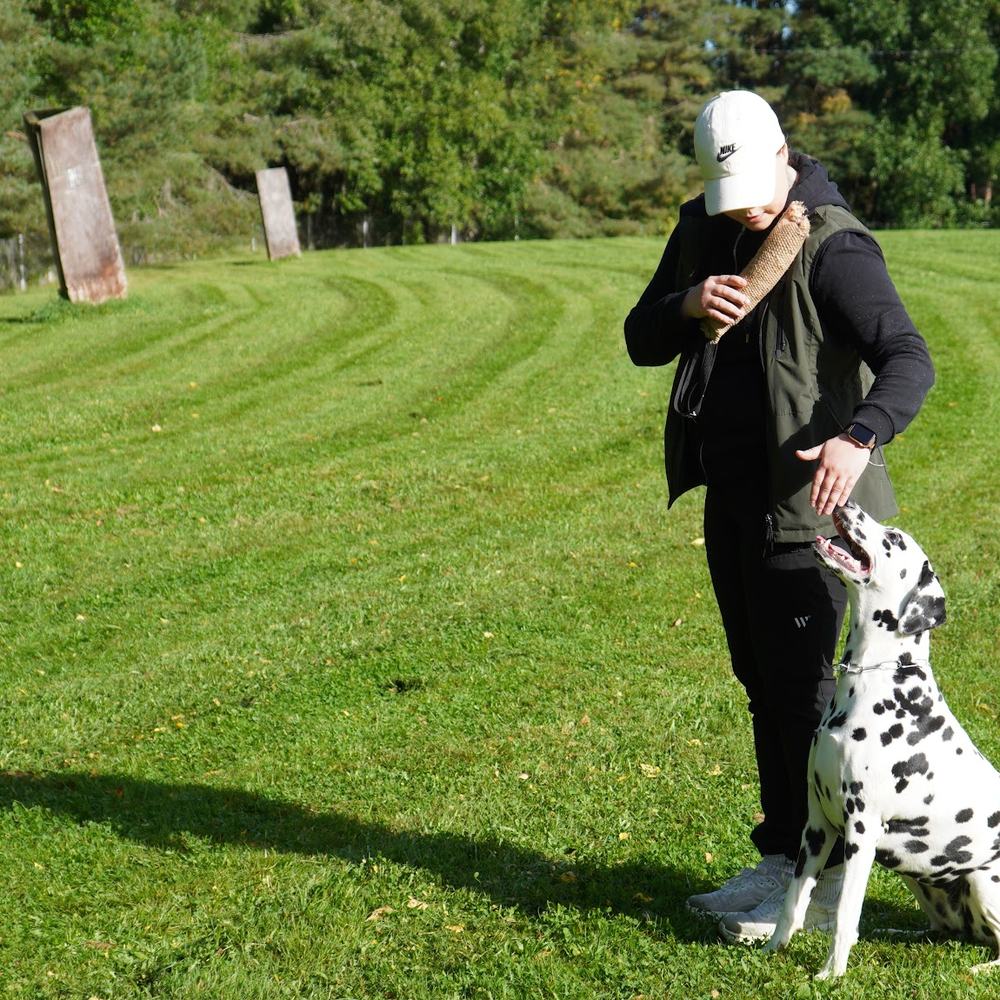 Iida Helin ja dalmatiankoira harjoittelemassa ulkona